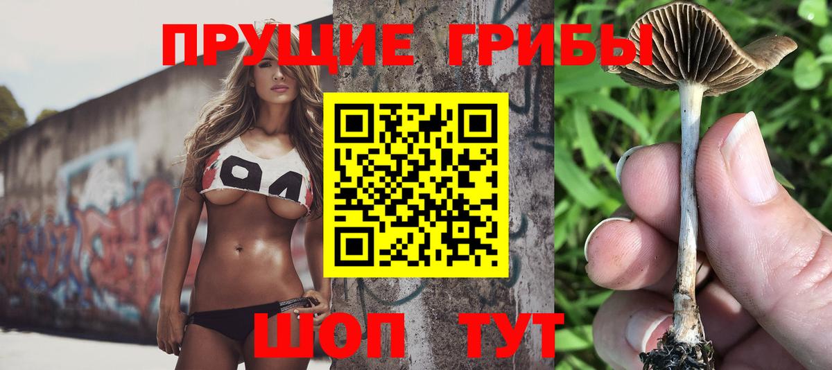 Псилоцибиновые грибы мухоморы Тутаев